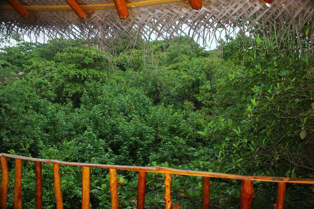Seasons Four Mini Jungle Cabana Matara Exterior foto